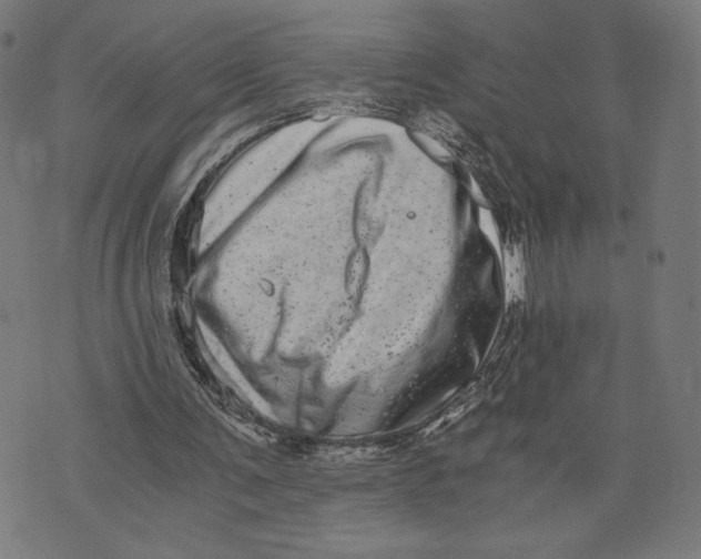 X0000073720291200608241239