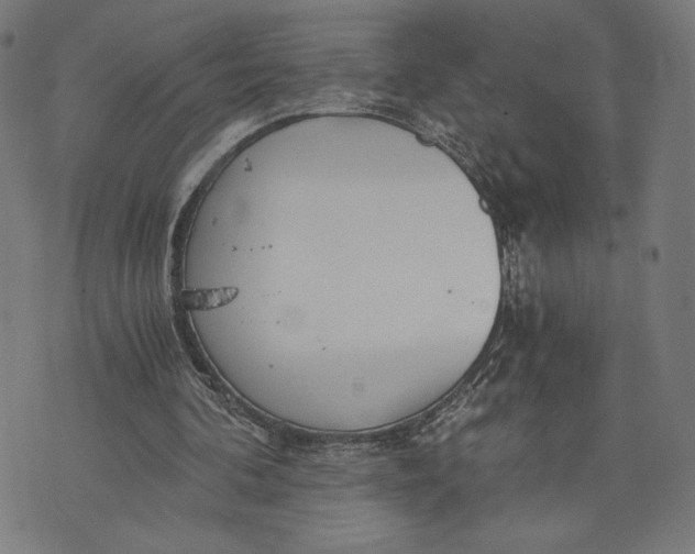 X0000073720292200608241239