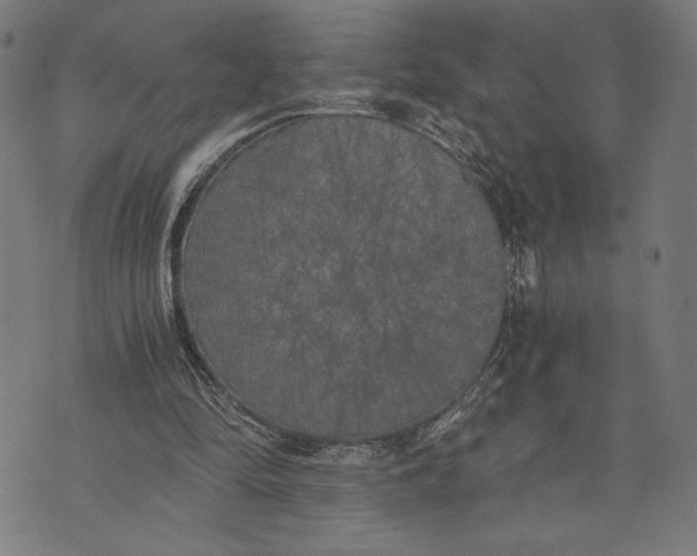 X0000073720294200608241239