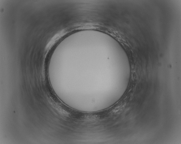 X0000073720296200608241239