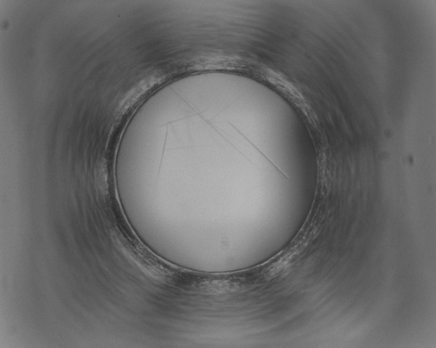 X0000073720298200608241239