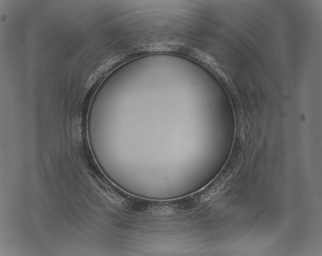 X0000073720299200608241239