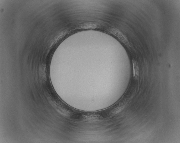 X0000073720300200608241239