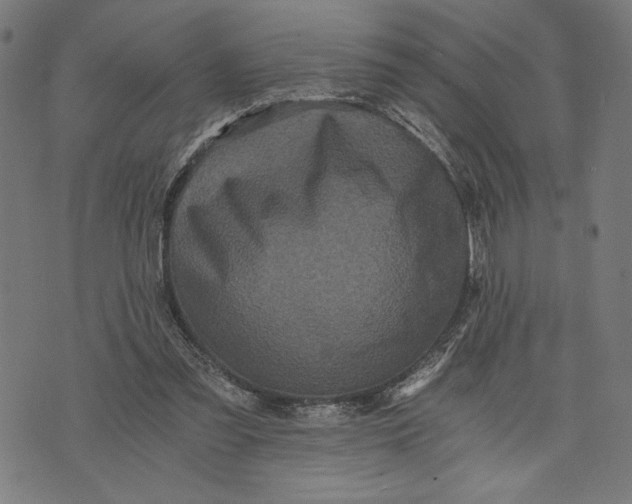 X0000073720301200608241238