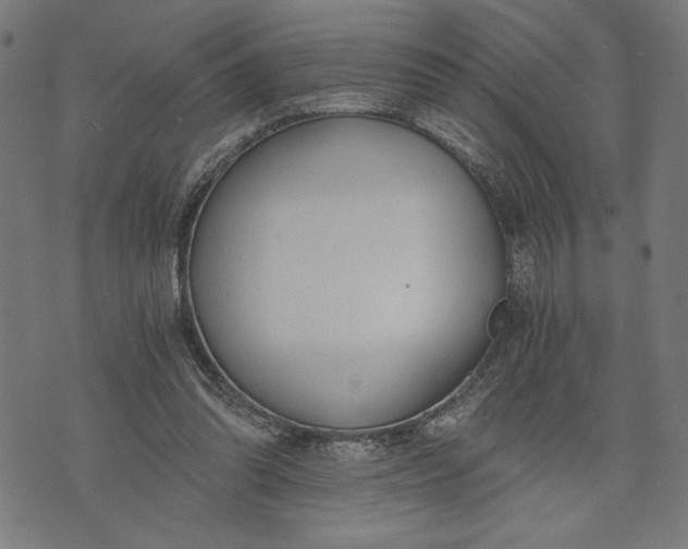 X0000073720302200608241238