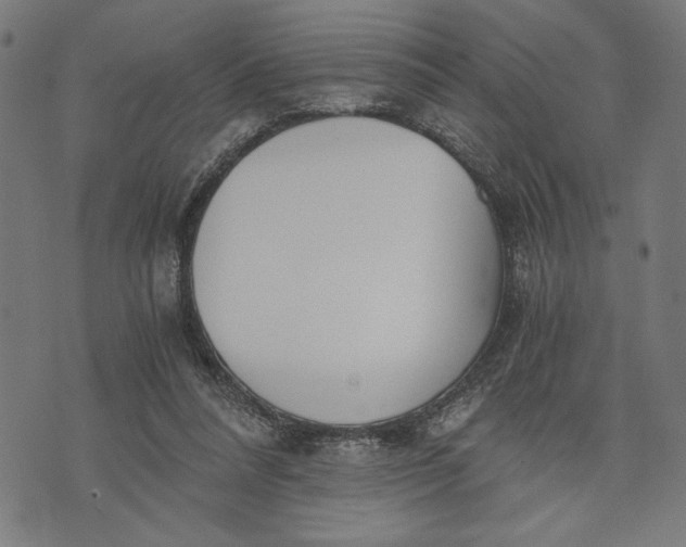 X0000073720304200608241238