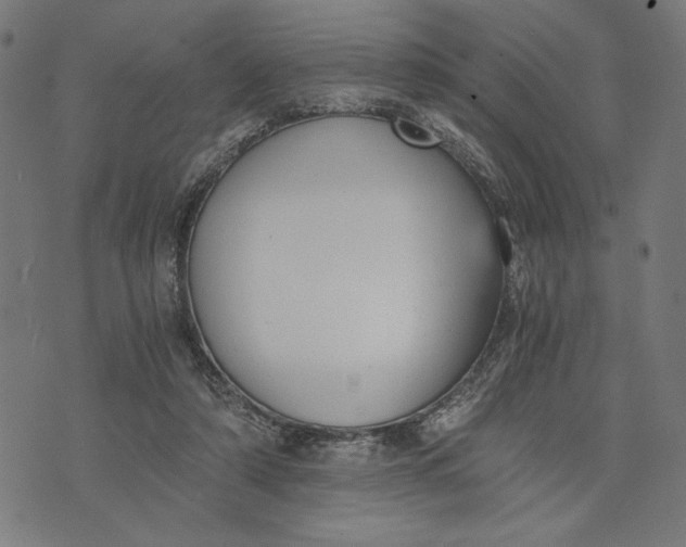 X0000073720306200608241238