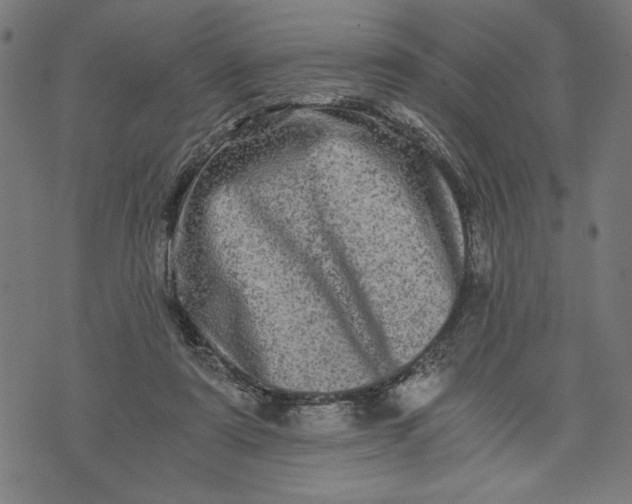 X0000073720307200608241238