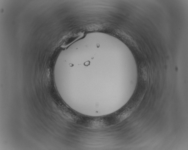 X0000073720308200608241238