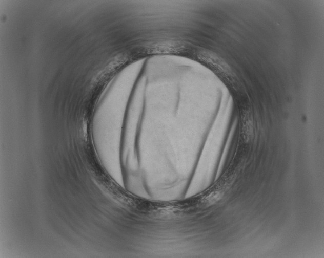 X0000073720310200608241238