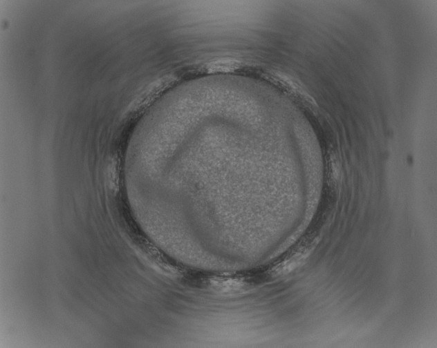 X0000073720311200608241238