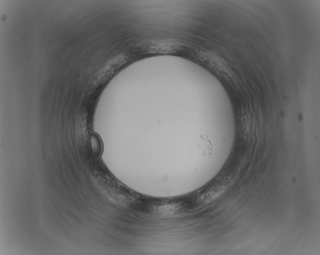 X0000073720312200608241238