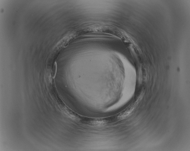 X0000073720313200608241238