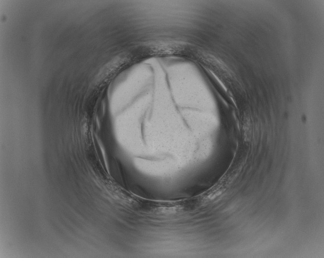 X0000073720314200608241238