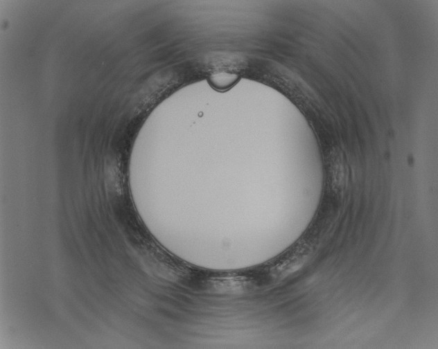 X0000073720316200608241238