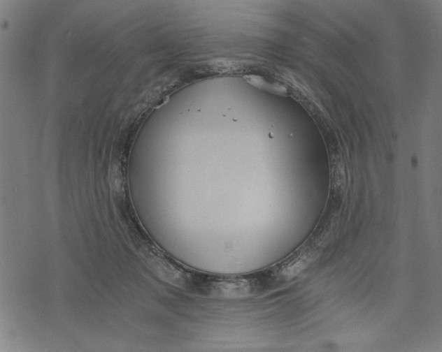 X0000073720317200608241238