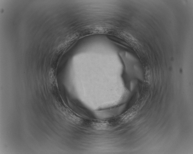 X0000073720318200608241238