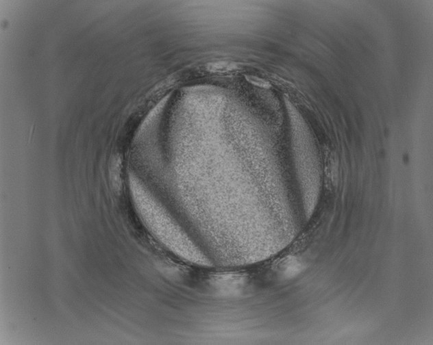 X0000073720319200608241238