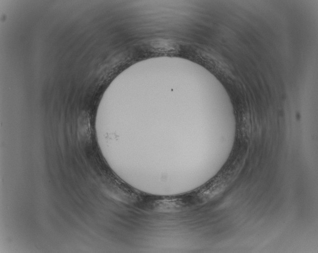 X0000073720320200608241238