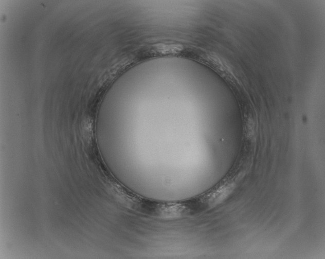 X0000073720321200608241238