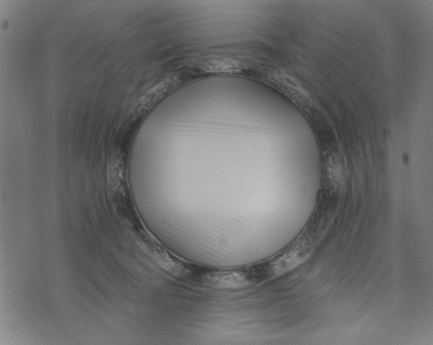 X0000073720322200608241238