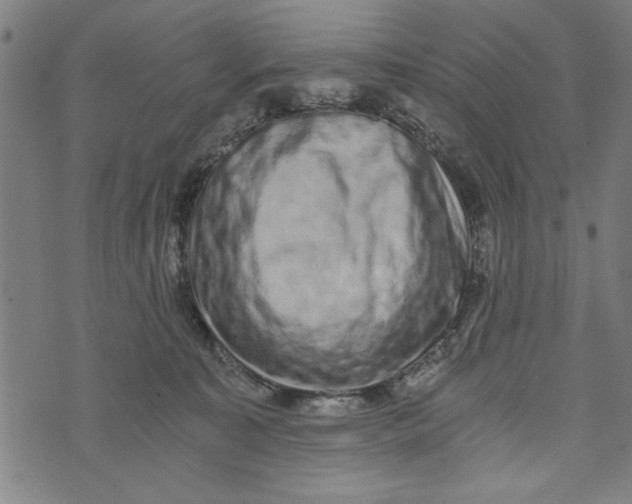 X0000073720323200608241238