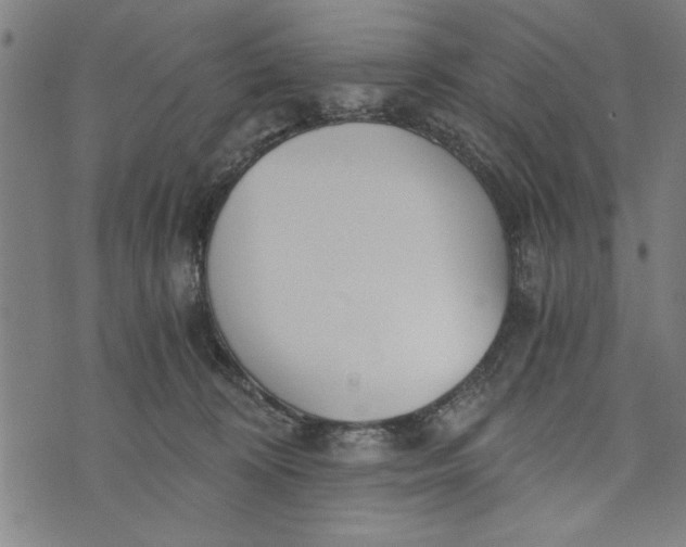 X0000073720324200608241238