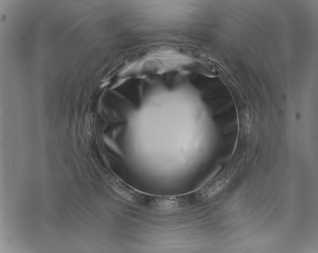 X0000073720325200608241238