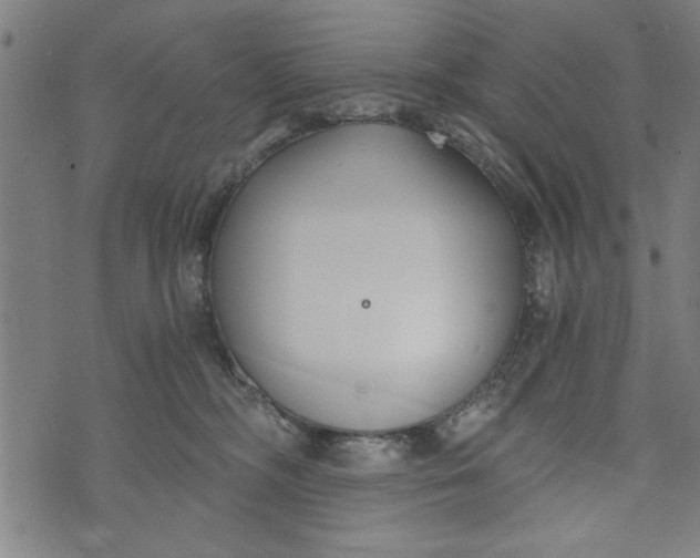 X0000073720326200608241238