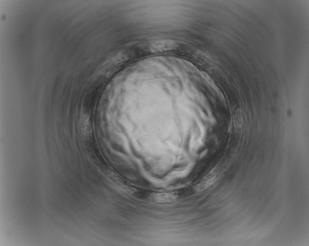 X0000073720327200608241238