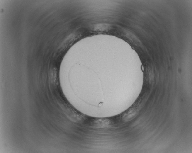 X0000073720328200608241238