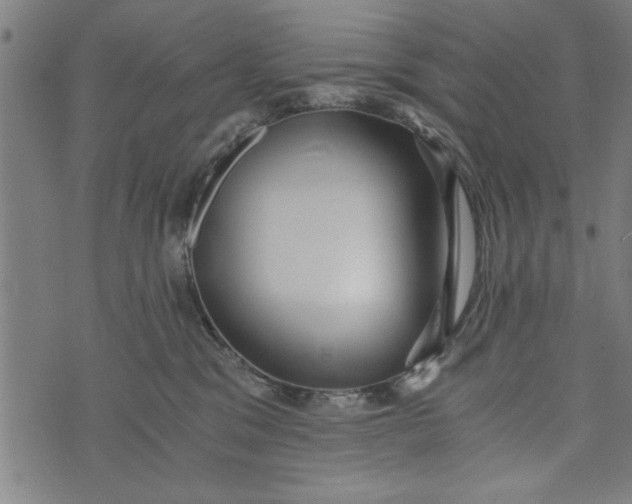 X0000073720329200608241238