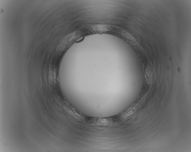 X0000073720330200608241238