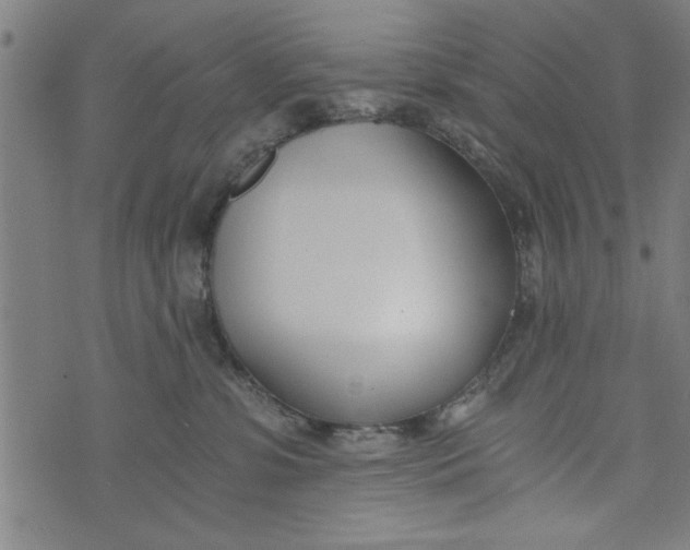 X0000073720331200608241238