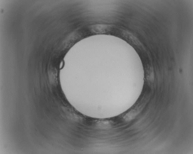 X0000073720332200608241238