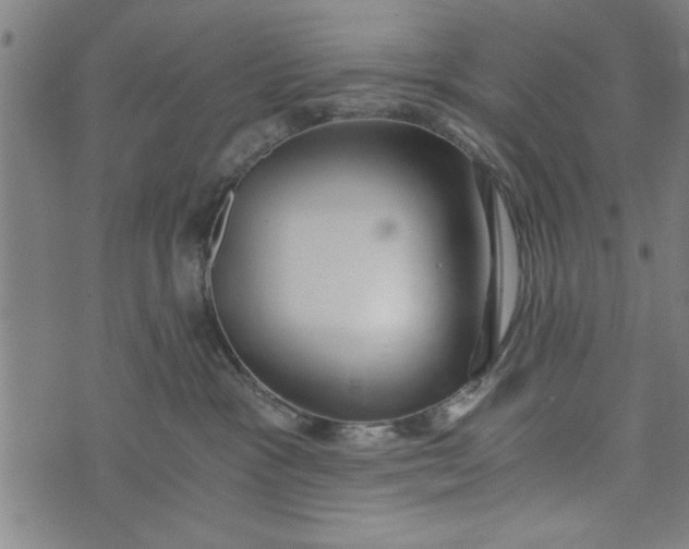 X0000073720333200608241238