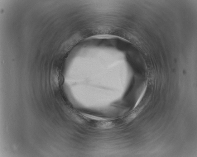 X0000073720334200608241238