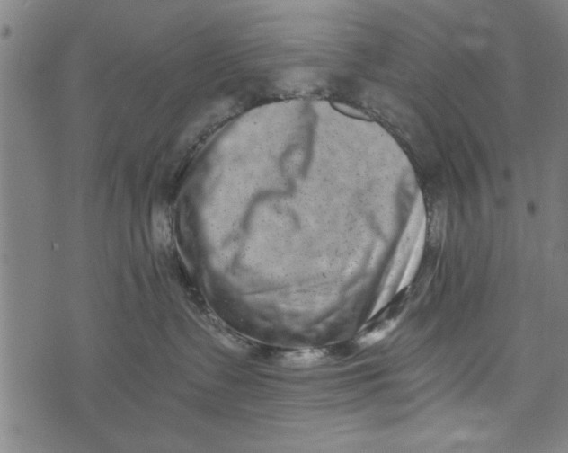 X0000073720335200608241238