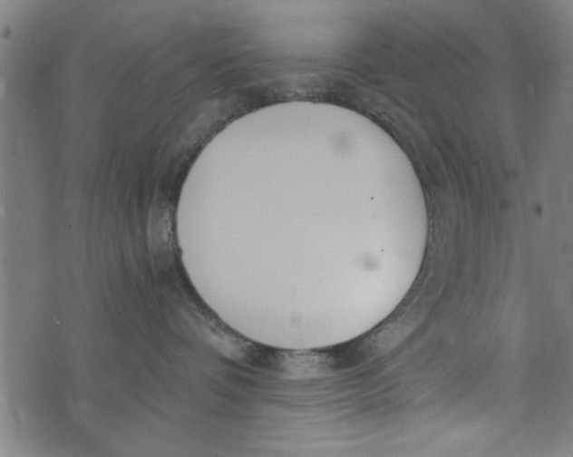 X0000073720336200608241238