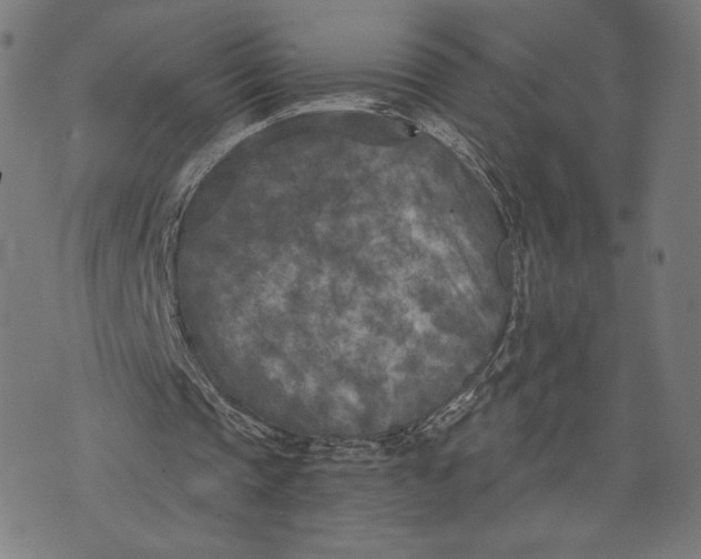 X0000073720337200608241237