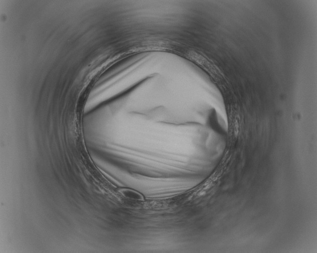 X0000073720338200608241237