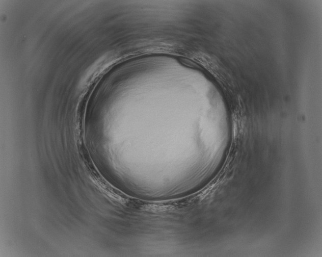 X0000073720339200608241237