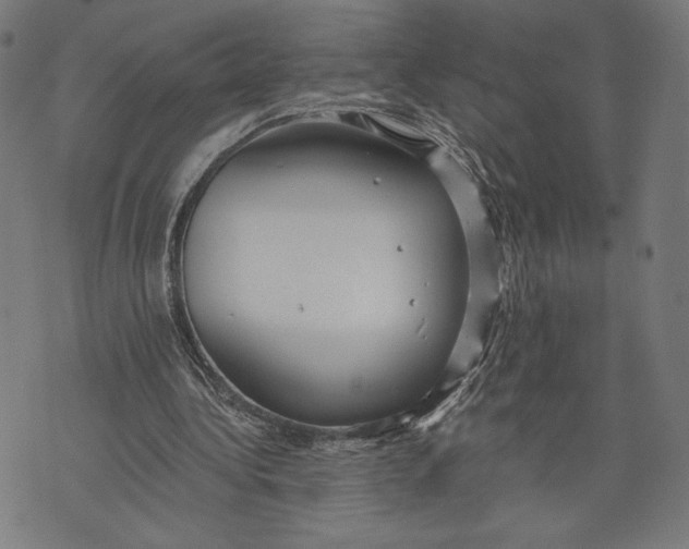 X0000073720340200608241237