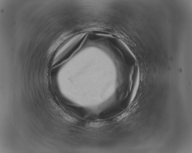 X0000073720341200608241237