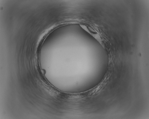 X0000073720342200608241237