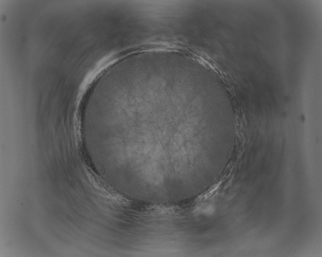 X0000073720343200608241237