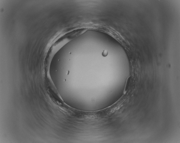 X0000073720344200608241237