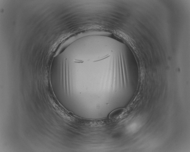 X0000073720345200608241237