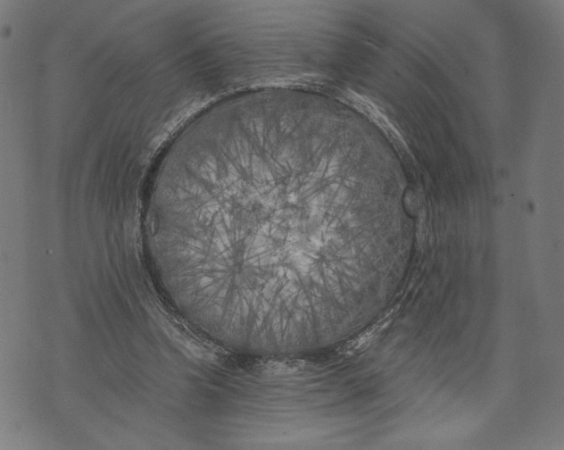 X0000073720346200608241237