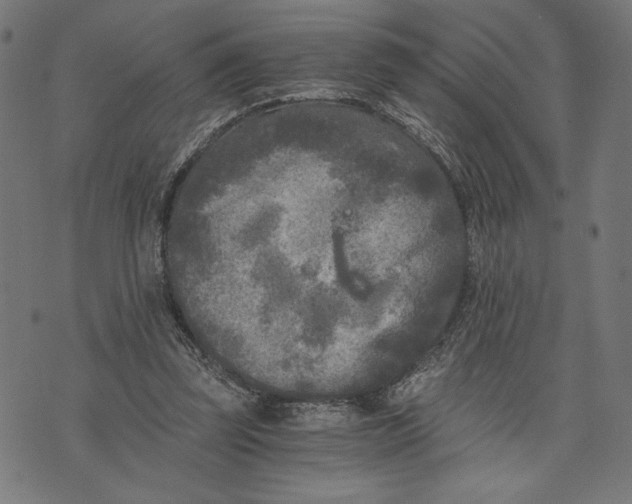 X0000073720347200608241237